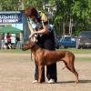 Подарок Из Африки Индира Ганди, Железнодорожный, 18.05.13 Подарок Из Африки Индира Ганди, Железнодорожный, 18.05.13
